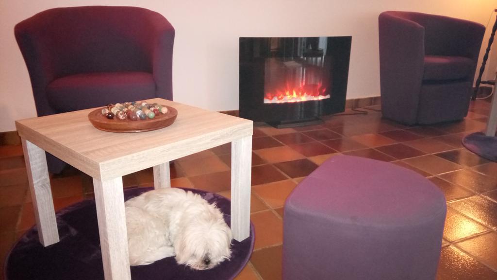 Hotel Montespan Lussac-les-Chateaux Εξωτερικό φωτογραφία